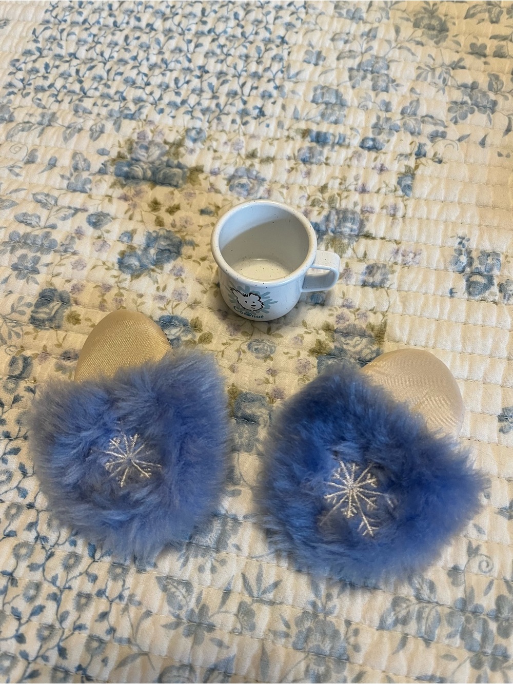 American girl doll accessories